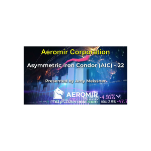 Aeromir – Amy Meissner’s AIC-22 Workshop