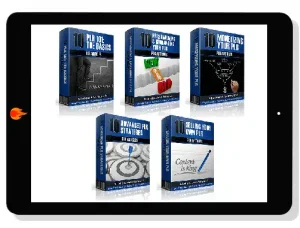 50 ‘PLR On PLR – From Beginner To Pro’ Articles