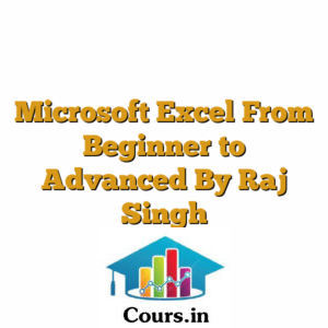Microsoft Excel From Beginner to Advanced By Raj Singh
