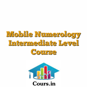 Mobile Numerology Intermediate Level Course