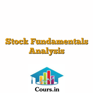 Stock Fundamentals Analysis