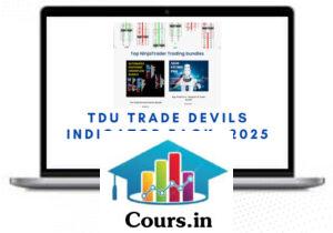 Trade Devils Indicator Pack – 2025 For NT 8