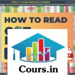 HOW TO READ THE COT REPORTS