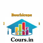 Beerbiceps Skillhouse Monetising Content Creation