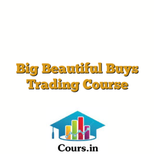 Big Beautiful Buys Trading Course