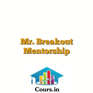 Mr. Breakout Mentorship