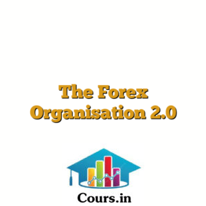 The Forex Organisation 2.0
