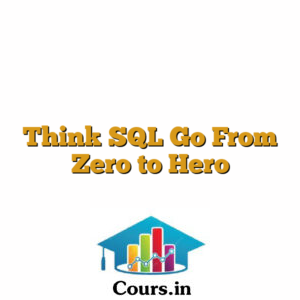 Think SQL Go From Zero to Hero