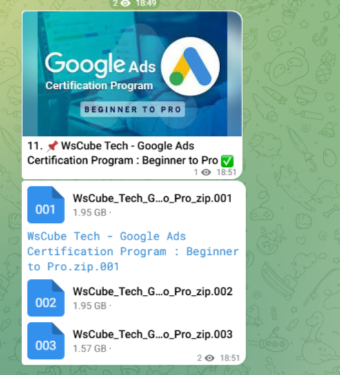 WsCube Tech – Google Ads Certification Program : Beginner to Pro – Cours.in