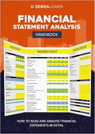 Zebra Learn Financial Statement Analysis