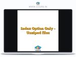 Index Option Only - Unziped files