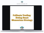 Pollinate Trading – Swing Beast Momentum Strategy