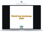 Stock bee bootcamp 2023