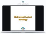 Bull scout Latest strategy