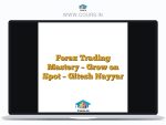 Forex Trading Mastery - Grow on Spot - Gitesh Nayyar