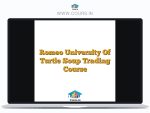 Romeo University Of Turtle Soup Trading Course