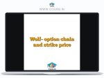 Wolf- option chain and strike price