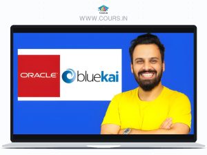 DMP course with UI walk-through of Oracle BlueKai 2026 By "Senator We Run Ads"