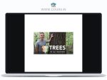 Adam Haritan – Trees In All Seasons