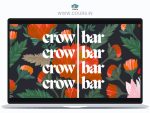 Ash Ambirge – The Crowbar Writing Workshop
