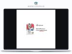 Brand Tactics Digital 2025 By Pip Decks