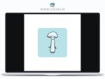Brooke Burgstahler – How To Grow Mushrooms Bundle