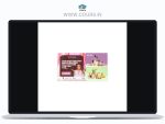 Creative Scoop – Complete Content Creation Course
