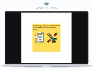 Drive Outrageous Revenue With Low-Traffic Sites In Hundreds of Newly-Untapped Niches