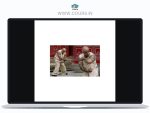 Health And Fighting Qigong With Jiang Yu Shan And Eero Westerberg