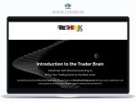 The ReThink Group Introduction To The Trader Brain