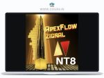 NinZa ApexFlow Zignal NT8